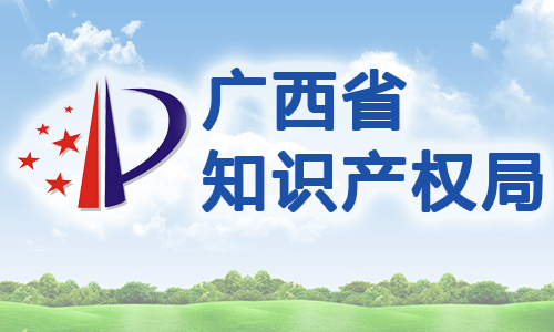 广西壮族自治区知识产权事业发展 “十三五”规划