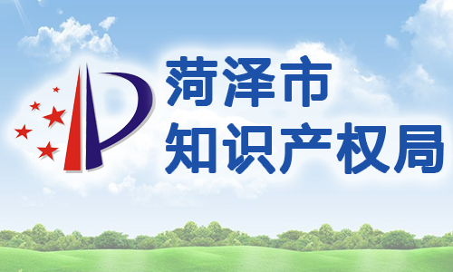 山东省菏泽市知识产权质押贷款管理暂行办法