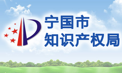 安徽省宁国市专利权质押贷款管理办法（试行）