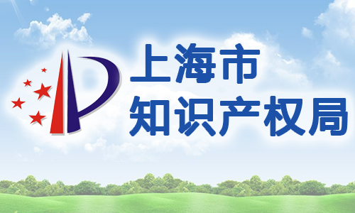 上海市知识产权质押评估技术规范（试行）