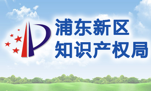 浦东新区科技发展基金知识产权质押融资专项资金操作细则