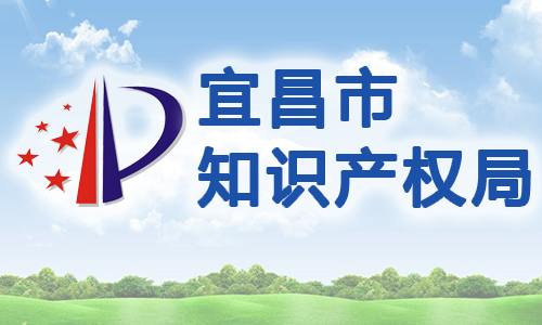 湖北省宜昌市知识产权质押融资管理办法