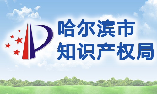 哈尔滨市知识产权质押融资贷款中的专利权合法性和有效性确认办法（试行）