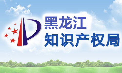 黑龙江省人民政府关于印发黑龙江省知识产权保护和运用“十三五”规划的通知