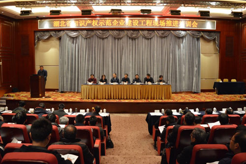 【湖北】局召开全省知识产权示范企业建设工程现场推进培训会