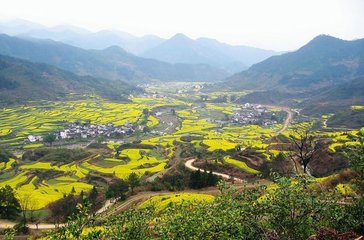 【河南】局召开知识产权质押融资座谈会