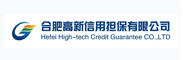 合肥高新融资担保有限公司